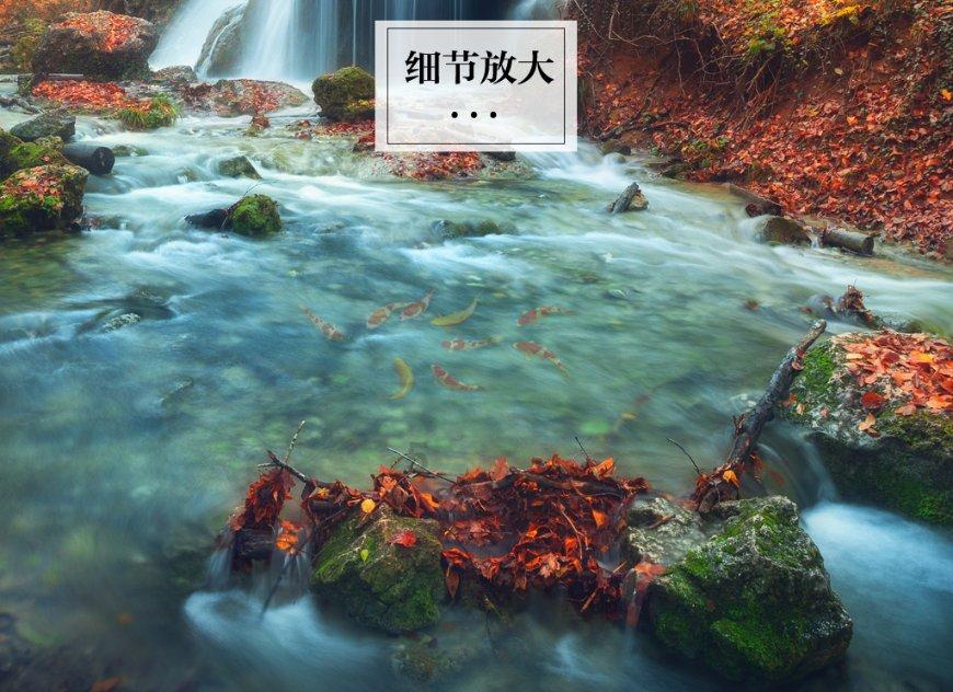 香蕉3元每500克荔枝7元每500克小伟买了2千克香蕉和3千克荔枝一共花了多少钱了?- 专业问答网站,解答你的疑惑